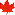 Kanada Ahorn Blatt