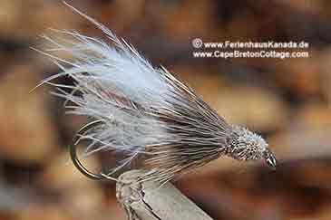 Muddler Minnow Ferienhaus Kanada Fliegenfischen Cape Breton