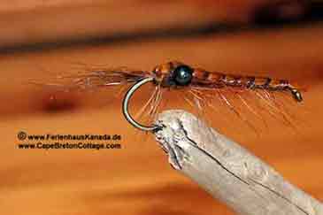 Shrimp Ferienhaus Kanada Fliegenfischen Cape Breton