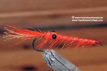 Shrimp Fliegenfischen Cape Breton Ferienhaus Kanada