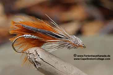 Muddler Minnow Ferienhaus Kanada Fliegenfischen Cape Breton