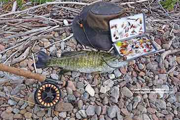 Small Mouth Bass Angeln Lake Ainslie Ferienhaus Kanada Cape Breton