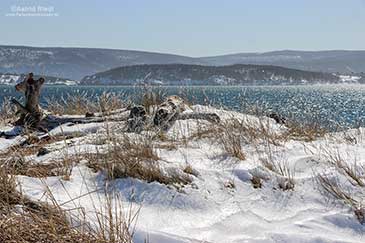 Claudias Lieblings Bild Winter Cape Breton