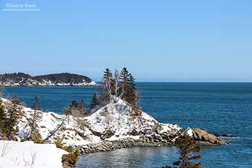 Island in the Sun Winter Cape Breton Highlands