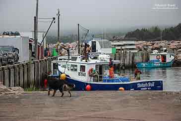 Fischerboote auf Cape Breton Island