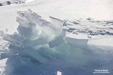 Klares und durchsichtiges Eis auf Cape Breton Island