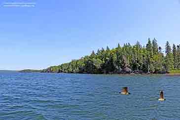 Bras d’Or Lake Washabuck Cape Breton Island